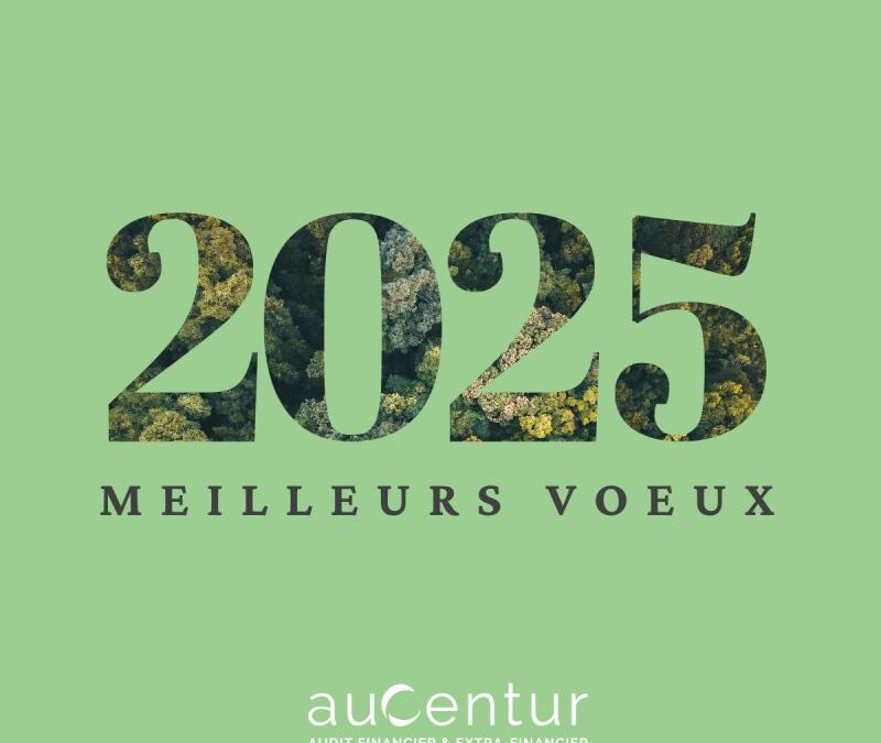 Meilleurs voeux d'Aucentur 2025