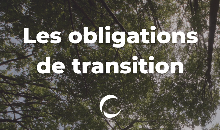 Les obligations de transition