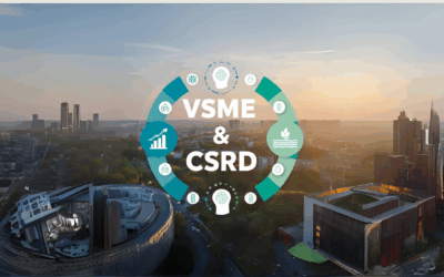 La VSME : Un guide essentiel pour les dirigeants de PME