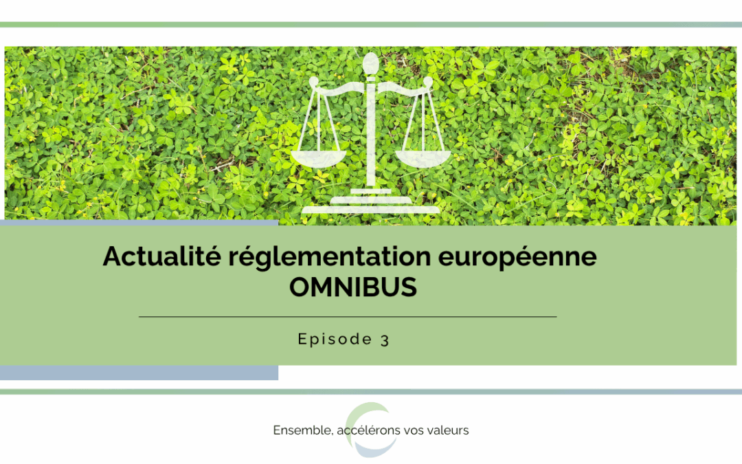 OMNIBUS vers une refonte en totale du reporting de durabilité