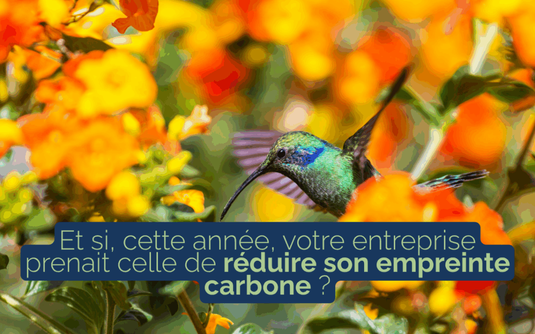 Et si, cette année, votre entreprise prenait la décision de réduire son empreinte carbone ?