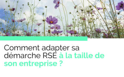 Comment adapter la démarche RSE à la taille de son entreprise